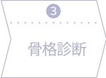 ③骨格診断